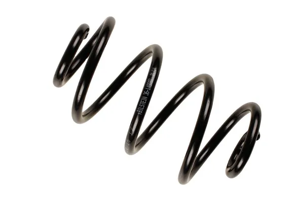 Helezon Yayı Arka BILSTEIN 36-148097