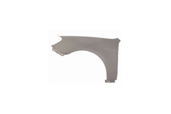Çamurluk Ön Sol TW 5110-2102