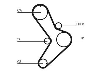 Triger Kayış Seti  CONTINENTAL CT731K1  7701471769