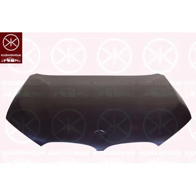 Motor Kaputu  BMW X1 Serisi (F48/F49)(2016->)  VORTEX V0201100