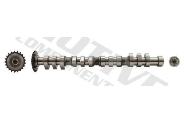 Eksantrik Mili  MOTIVE T2172