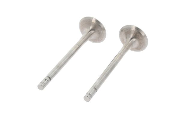 Supap  SUPSAN VT-40164-40165