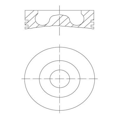 Piston (81.01MM-STD)  MAHLE 028 02 00