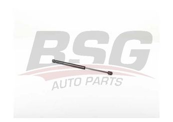 Bagaj Amortisörü Sağ veya Sol BSG 75-980-001  7700842256 77 00 842 256