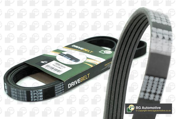 Vantilatör Kayışı  FEBI BILSTEIN 1006078