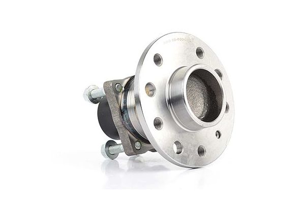 Porya Arka Sağ veya Sol BSG 65-600-002