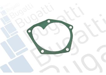 Devirdaim Su Pompası  BUGATTI PA10209  