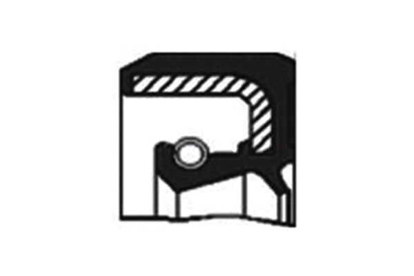 Eksantrik Keçesi  SKT 040719