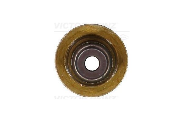 Supap Lastiği  REINZ 70-37621-00