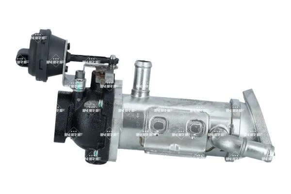 Egr Valfi  Renault Vel Satis (BJ0)(02.2002->)  NRF 48011
