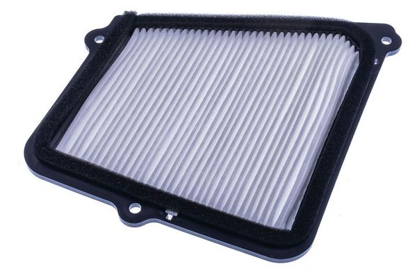 Polen Filtresi  SION SC5389