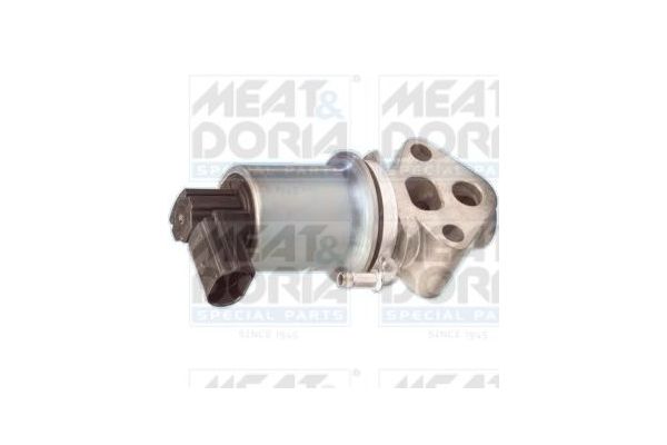 Egr Valfi  DODUCO 44019