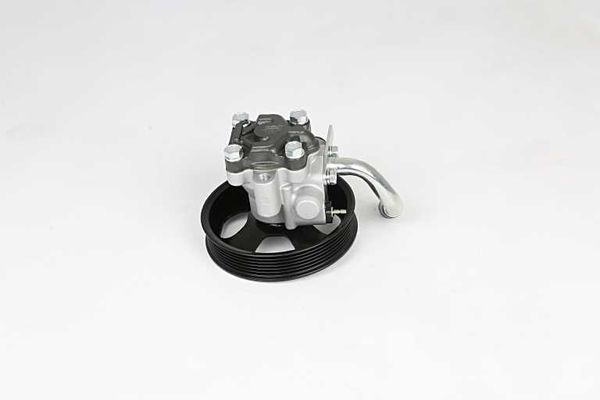 Direksiyon Pompası  Hyundai Santa Fe (SM)(2001->)  BSG 40-355-014