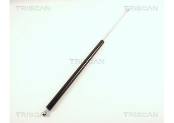 Bagaj Amortisörü Sağ veya Sol PSA ORJINAL 8731C0  8731C0 8731E7 00 008 731 C0 8731.C0