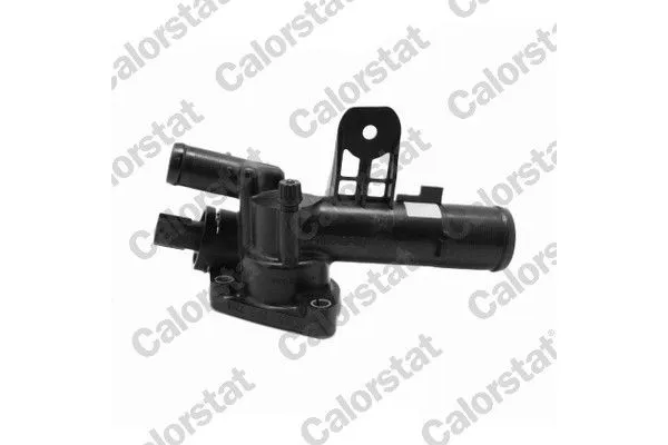 Termostat  Renault Clio III (08.2005->)  CALORSTAT TH7123.89J