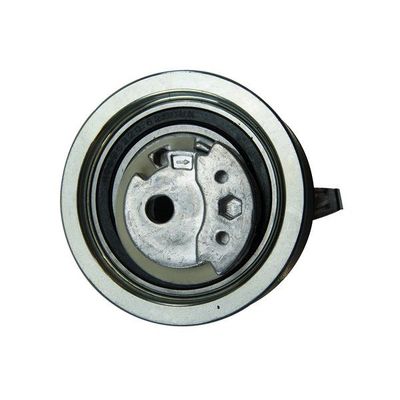 Triger Gergi Rulmanı  Audi A1 (8X1)(08.2010->)  TRUCKTEC 07.12.008