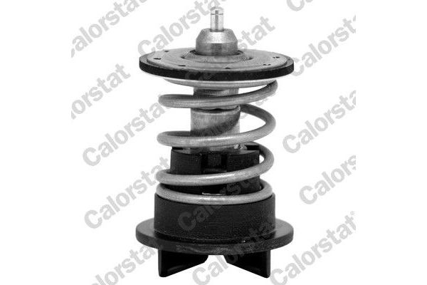 Termostat 89 °C  Volkswagen Phaeton (3D1/3D9)(05.2010->2016)  CALORSTAT TH7272.89