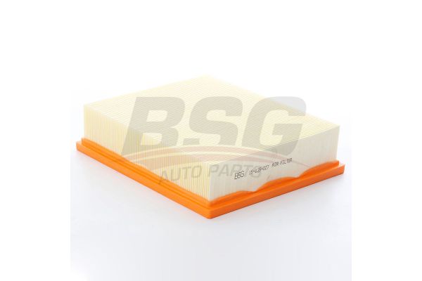 Hava Filtresi  Land Rover Freelander 1 (LN)(09.2002->)  BSG 15-135-027