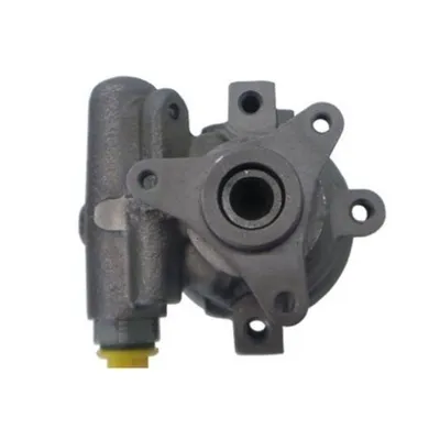 Direksiyon Pompası  Renault Clio II (B/CB0)(06.1998->)  RAMSAN 210888