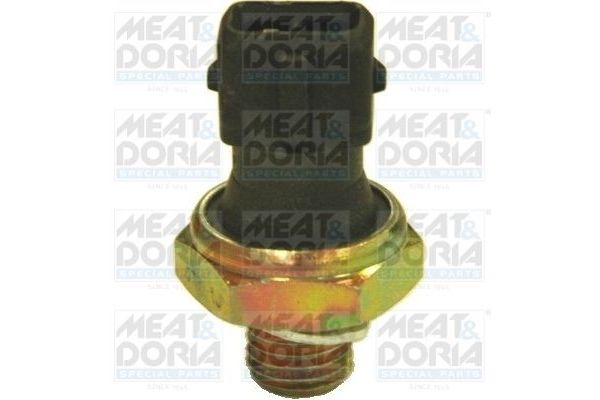 Yağ Müşürü  BMW X5 M Serisi (F85)(2015->)  MEAT & DORIA 72023