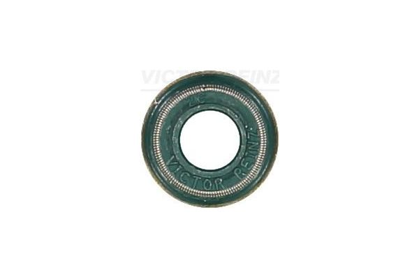 Supap Lastiği  REINZ 70-42476-00