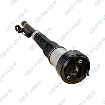 Amortisör Arka Sol GSP 30900342