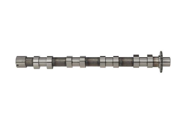Eksantrik Mili  Citroen Jumpy (01.2007->)  PSA ORJINAL 0801AC
