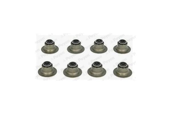 Supap Lastiği  PAYEN HR656