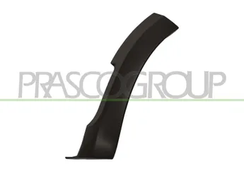 Çamurluk Bandı Ön Sol RENAULT ORJINAL 960173784R  960173784R