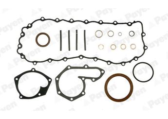 Takım Conta  PAYEN EC5060  7701470176