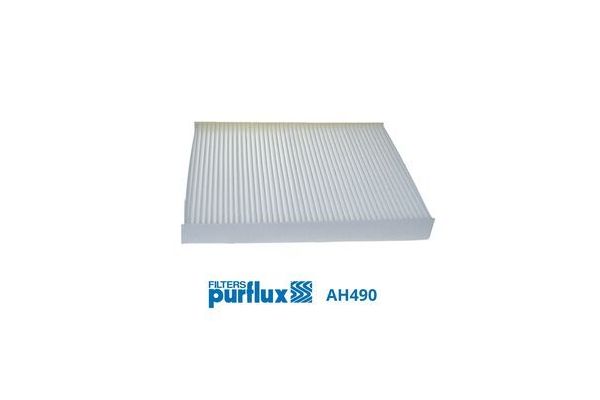 Polen Filtresi  PURFLUX AH490