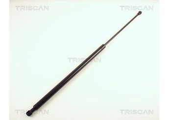 Bagaj Amortisörü Sağ veya Sol FROW 313.1650.001  8731E4 8731.E4