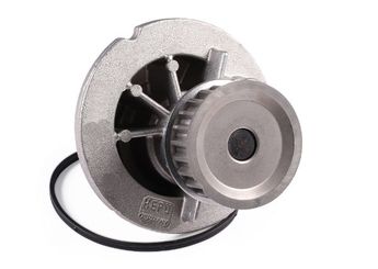 Devirdaim Su Pompası  HEPU P324  6334035 9199592 09199592 1334077 93182038