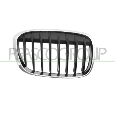 Panjur Ön Sağ BMW X1 Serisi (F48/F49)(2016->)  WENDERPARTS E-BA51117383364