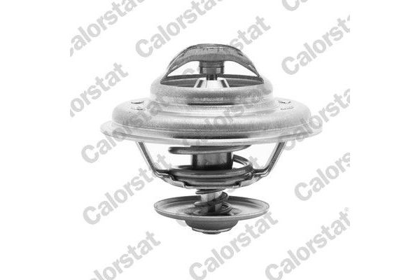 Termostat  CALORSTAT TH5111.71J