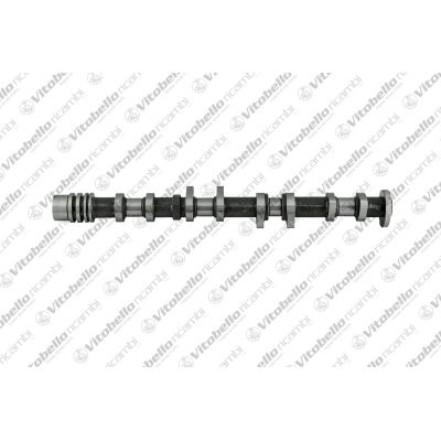 Eksantrik Mili  Kia Carens (UN)(2007->)  MOBIS 241002B000