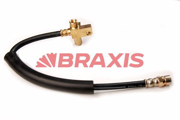 Fren Hortumu Arka Sağ veya Sol BRAXIS AH0165