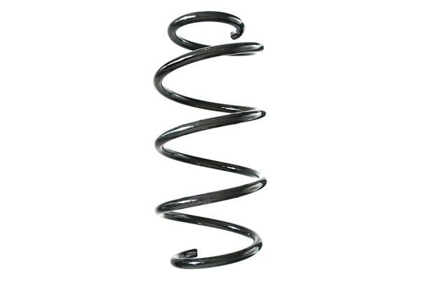 Helezon Yayı Ön SPIDAN GKNW10203