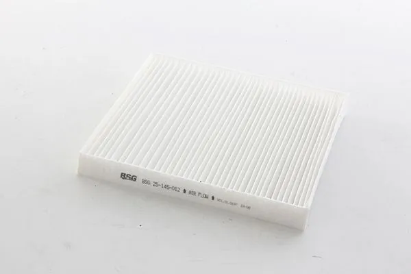 Polen Filtresi  Fiat Freemont (345)(2011->)  BSG 25-145-012