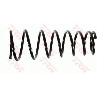 Helezon Yayı Arka OTOZONE HYA9406