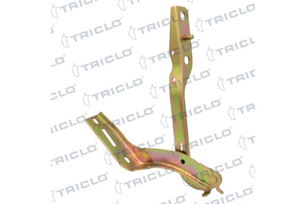 Motor Kaput Menteşesi Sol FROW 257.1656.001