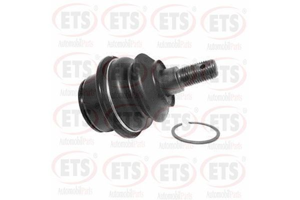 Rotil Üst Sağ veya Sol AYD 16183