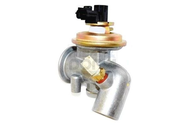 Egr Valfi  PIERBURG 7.22935.02.0