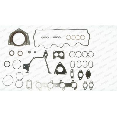 Takım Conta  PAYEN GZ790