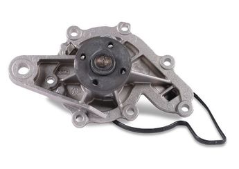 Devirdaim Su Pompası  HEPU P130  A6602000120 3165V003 3165V003000 4681V002 4681V002000 6602000120 A 6602000120