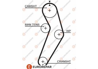 Triger Kayışı  EUROREPAR 1633135880  6001543400 7700273279 7700273650 8200537021 1680600QAR 1680600QBD 7700273280 7700273611