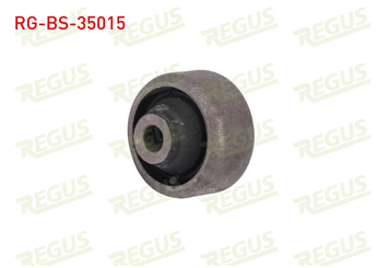 Salıncak Burcu Ön Alt Sağ veya Sol REGUS RG-BS-35015  8200041166 82 00 041 166