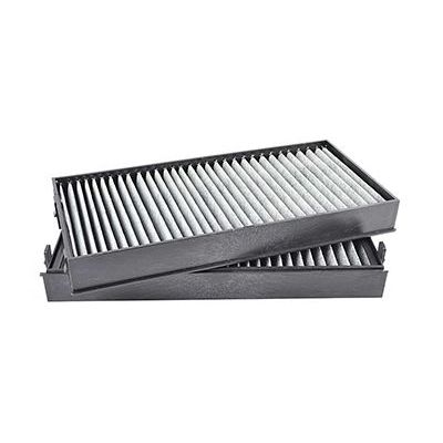 Polen Filtresi  BMW X6 M Serisi (F86)(2015->)  BSG 15-145-005