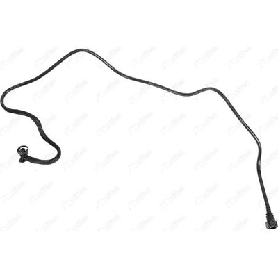 Yakıt Borusu  Renault Clio Symbol I (Makyajlı)(03.2002->)  NİFEA 11808