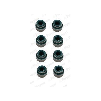 Supap Lastiği  PAYEN HR817